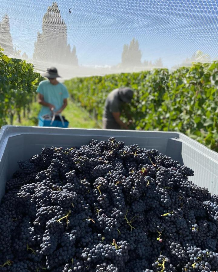 알렉산드라 'The Crib' On Legacy Vineyard 빌라 외부 사진